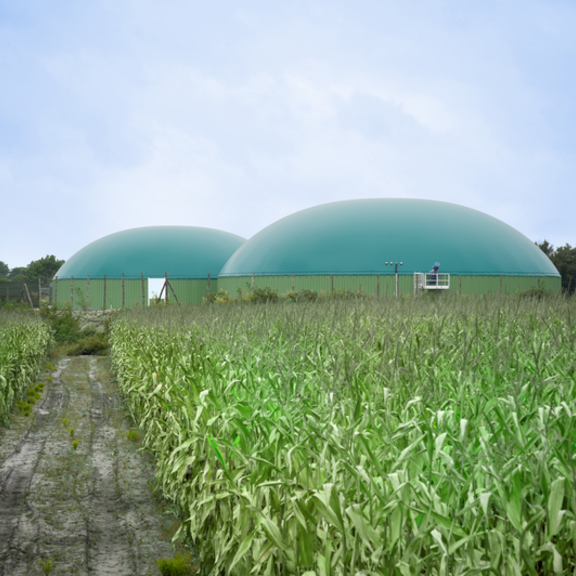Biogas production site6 © Virginie de la Hija